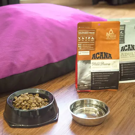 Petit Palace Ruzafa Hotel 3*